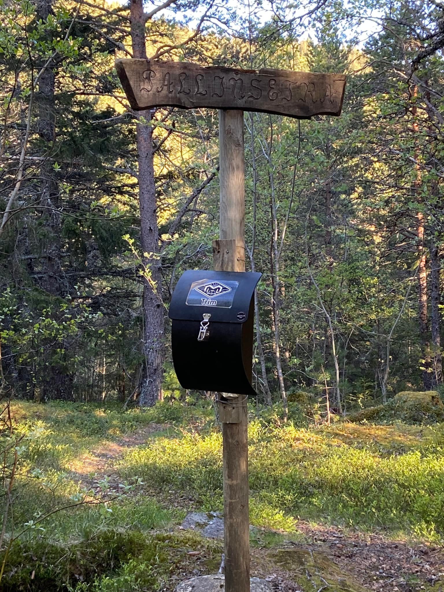 Bli med som medlem i Melhus idrettslag - avdeling trim, og støtt det gode arbeidet som utføres i nærmiljøet